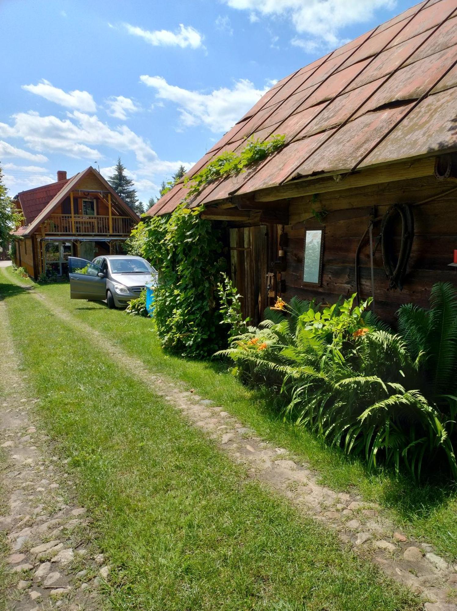 Dom Sloneczko Pokoje Do Wynajecia W Bialowiezy Беловеж Экстерьер фото
